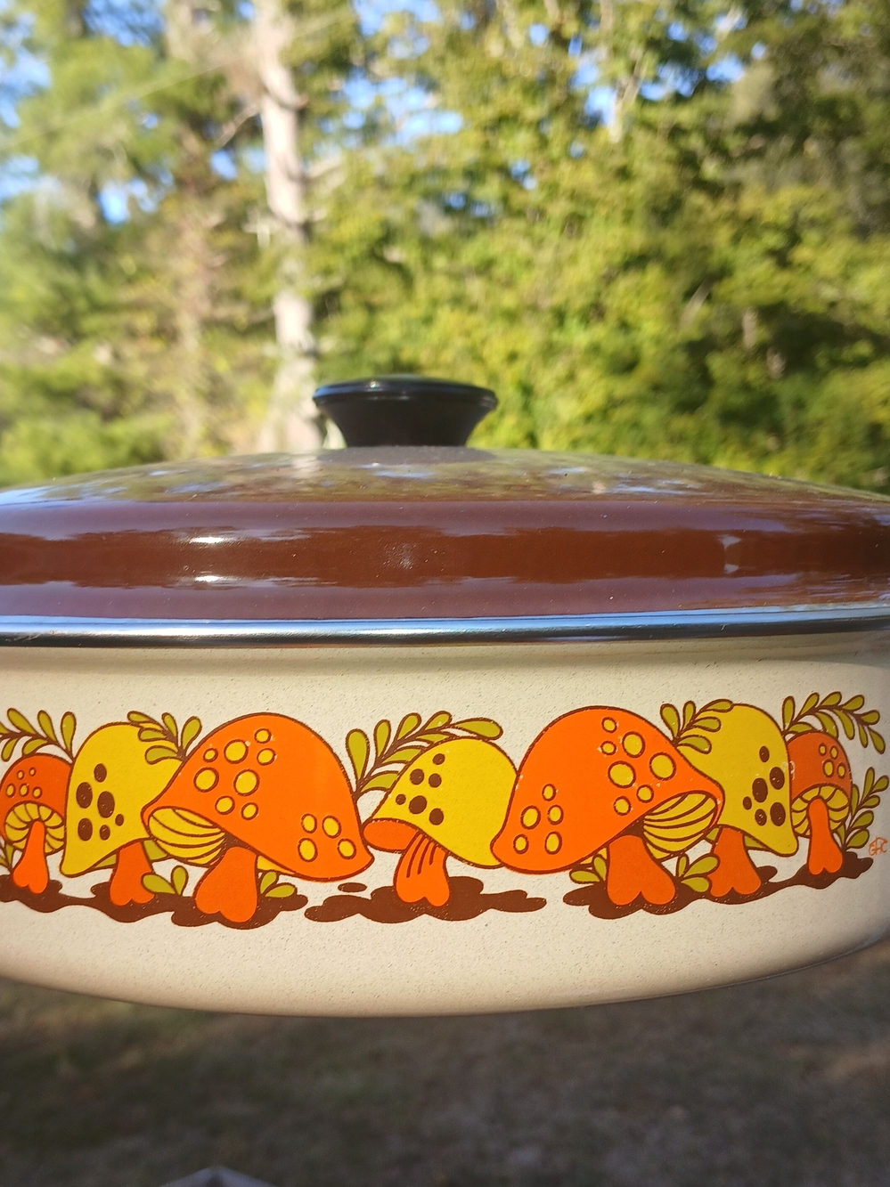 Vintage Sears Merry Mushroom Pattern Skillet With Lid
